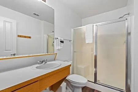 2 Mi To Usf Student Housing 24H Gym Διαμέρισμα Τάμπα Ηνωμένες Πολιτείες της Αμερικής