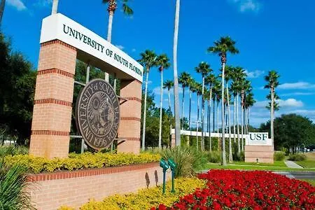 2 Mi To Usf Student Housing 24H Gym Διαμέρισμα Τάμπα 0*,