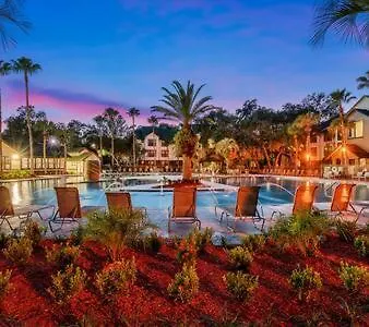 2 Mi To Usf Student Housing 24H Gym Διαμέρισμα Τάμπα Ηνωμένες Πολιτείες της Αμερικής