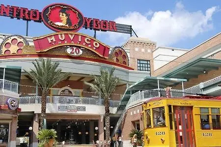 坦帕2 Mi To Usf Student Housing 24H Gym公寓 公寓