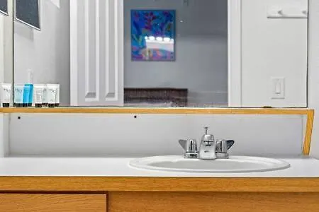 坦帕2 Mi To Usf Student Housing 24H Gym公寓 公寓 坦帕