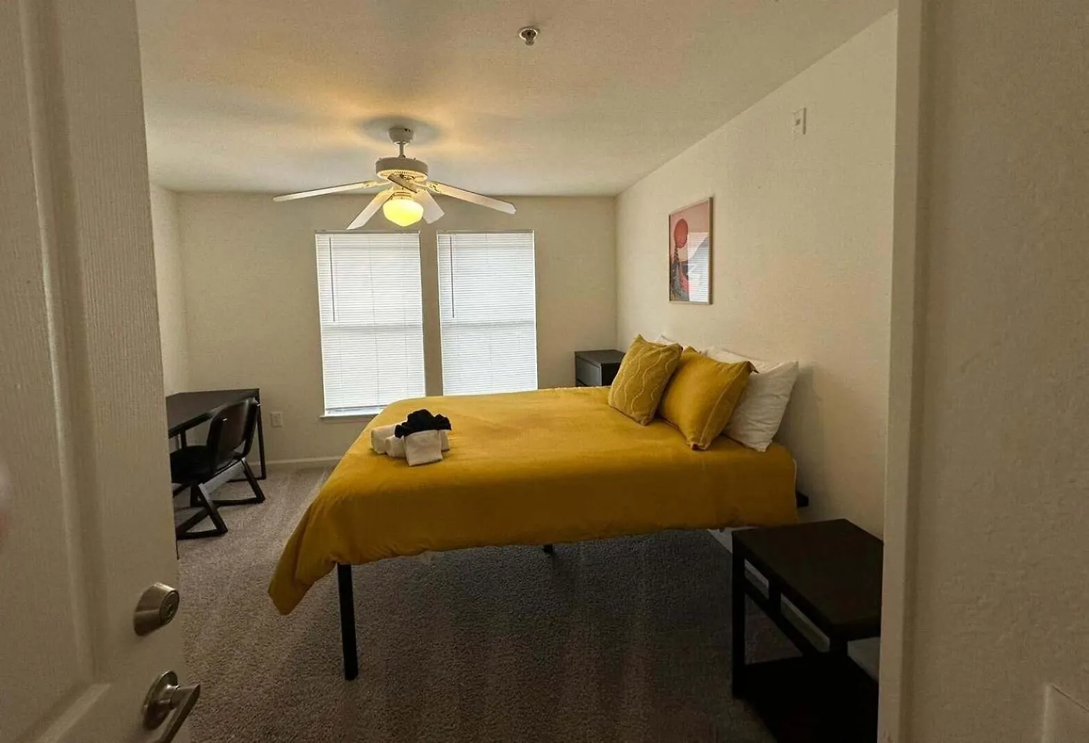 公寓 坦帕2 Mi To Usf Student Housing 24H Gym公寓 美国